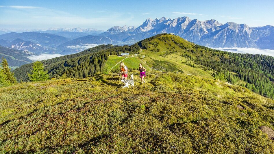 Hiking route Up the Krahbergzinken - Touren-Impression #2.2 | © Erlebnisregion Schladming-Dachstein