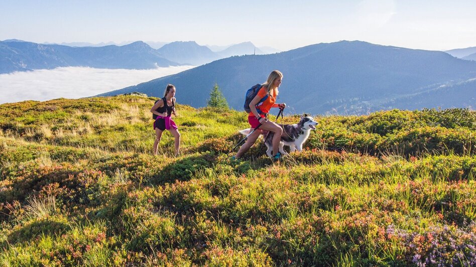 Hiking route Up the Krahbergzinken - Touren-Impression #2.4 | © Erlebnisregion Schladming-Dachstein