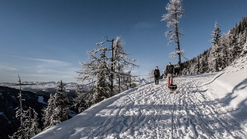 Winter Hiking 4-Seasons Trail - Winter Walk - Touren-Impression #2.2 | © Gerhard Pilz - www.gpic.at