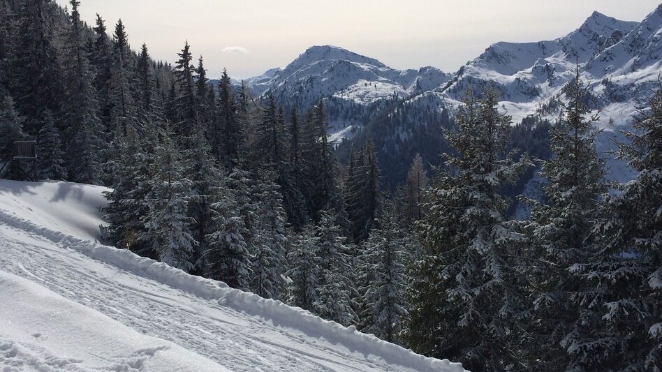 Winter Hiking 4-Seasons Trail - Winter Walk - Touren-Impression #2.5 | © Tourismusverband Schladming - Katrin Hutegger