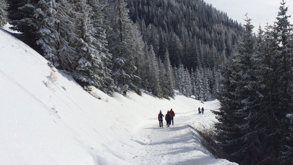 Winter Hiking 4-Seasons Trail - Winter Walk - Touren-Impression #2.6 | © Tourismusverband Schladming - Katrin Hutegger
