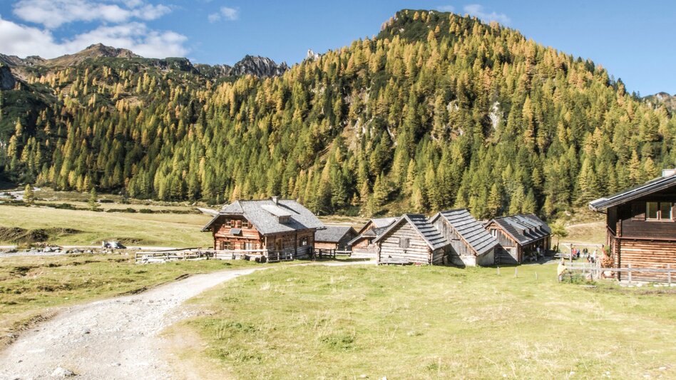 Wanderung Bergseeweg - von der Ursprungalm zum Duisitzkarsee - Touren-Impression #2.2 | © Gerhard Pilz - www.gpic.at