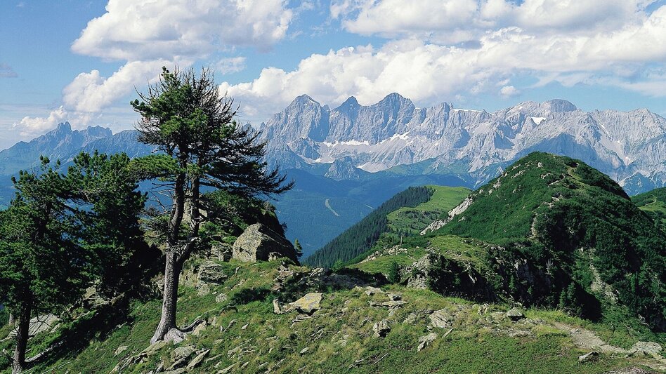 Bergtour Höhenweg Ursprungalm - Giglachseen - Hochwurzen - Touren-Impression #2.15 | © Tourismusverband Schladming