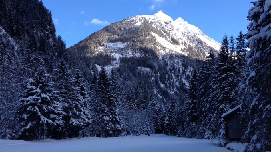 Langlauf klassisch Kristallloipe Untertal - Touren-Impression #2.14 | © Tourismusverband Schladming