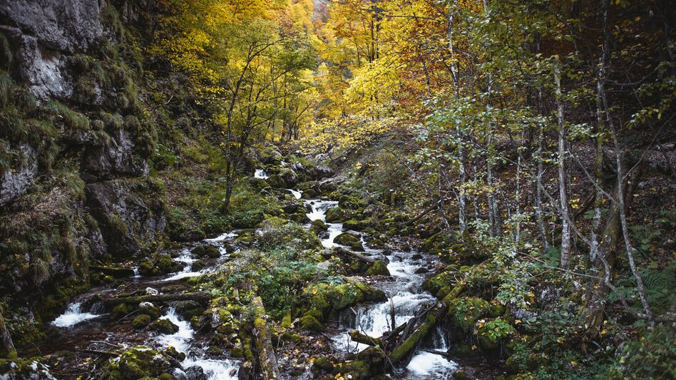 Mountain Hike Through the Hartelsgraben over the Sulzkar to the Heßhütte and to Johnsbach - Touren-Impression #2.1 | © TV Gesäuse