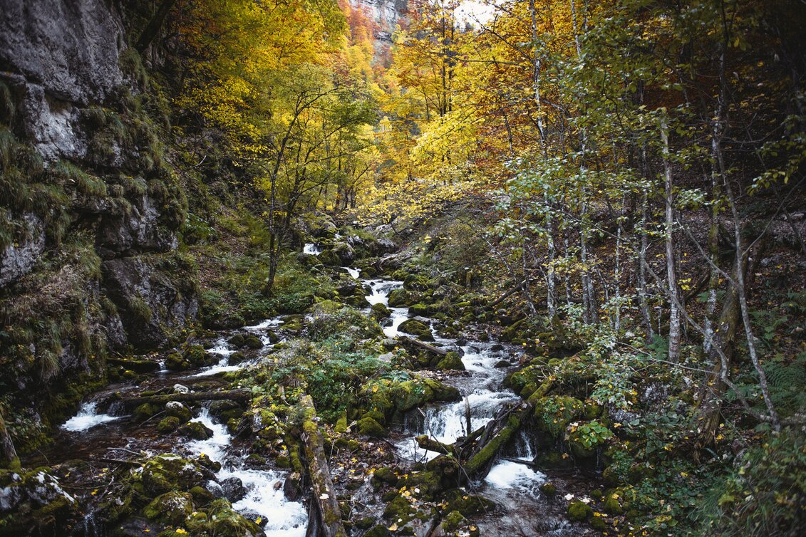 Mountain Hike Through the Hartelsgraben over the Sulzkar to the Heßhütte and to Johnsbach - Touren-Impression #1 | © TV Gesäuse
