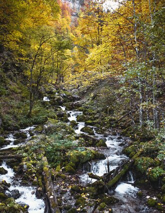 durch den hartelsgraben über's sulzkar zur hesshütte und nach johnsbach_img_94840918 | Tourismusverband Gesäuse | © TV Gesäuse