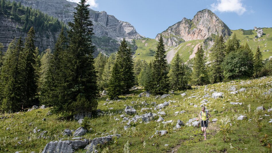 Mountain Hike Through the Hartelsgraben over the Sulzkar to the Heßhütte and to Johnsbach - Touren-Impression #2.7 | © TV Gesäuse