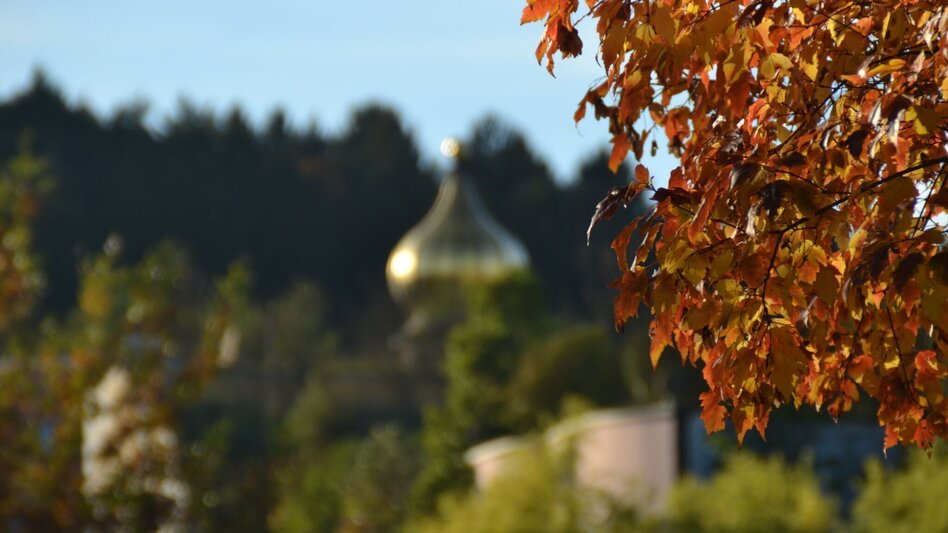 Bike Riding Speilbrunner path (Speilbrunnerweg) - Touren-Impression #2.6 | © Kurkommission Bad Blumau