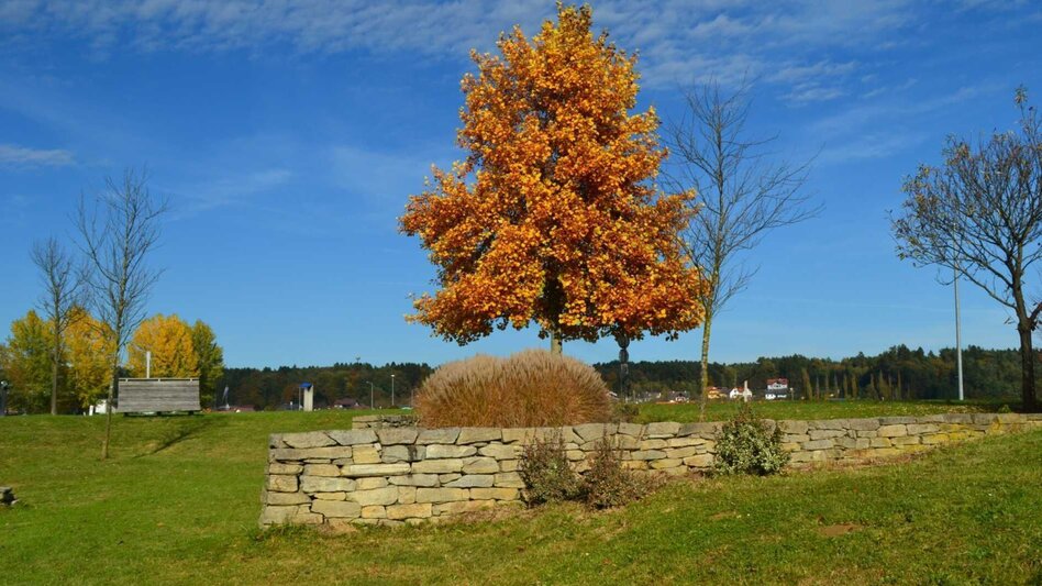 Bike Riding Speilbrunner path (Speilbrunnerweg) - Touren-Impression #2.3 | © Kurkommission Bad Blumau