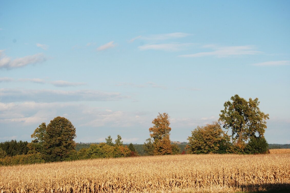 Radfahren Lindeggerweg - Thermengemeinde Bad Blumau - Touren-Impression #1 | © Kurkommission Bad Blumau
