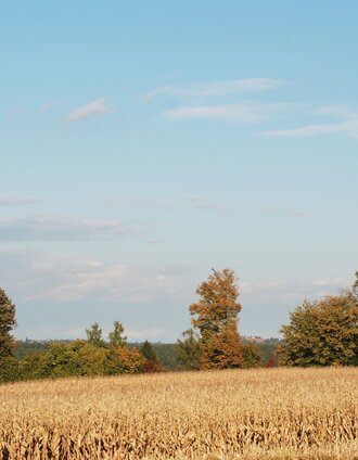Herbstlandschaft | Kurkommission Bad Blumau | © Kurkommission Bad Blumau