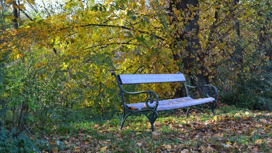 Radfahren Lindeggerweg - Thermengemeinde Bad Blumau - Touren-Impression #2.7 | © Kurkommission Bad Blumau