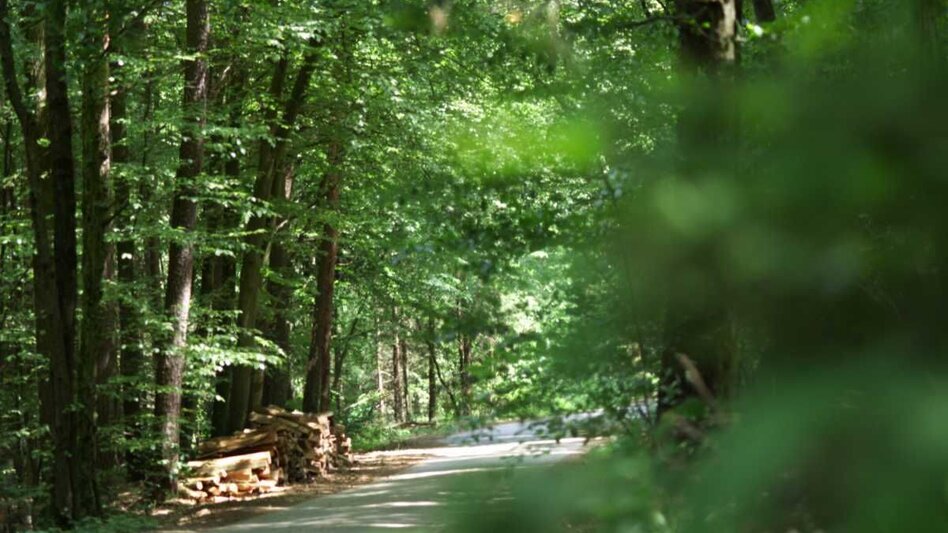 Radfahren Lindeggerweg - Thermengemeinde Bad Blumau - Touren-Impression #2.5 | © Kurkommission Bad Blumau