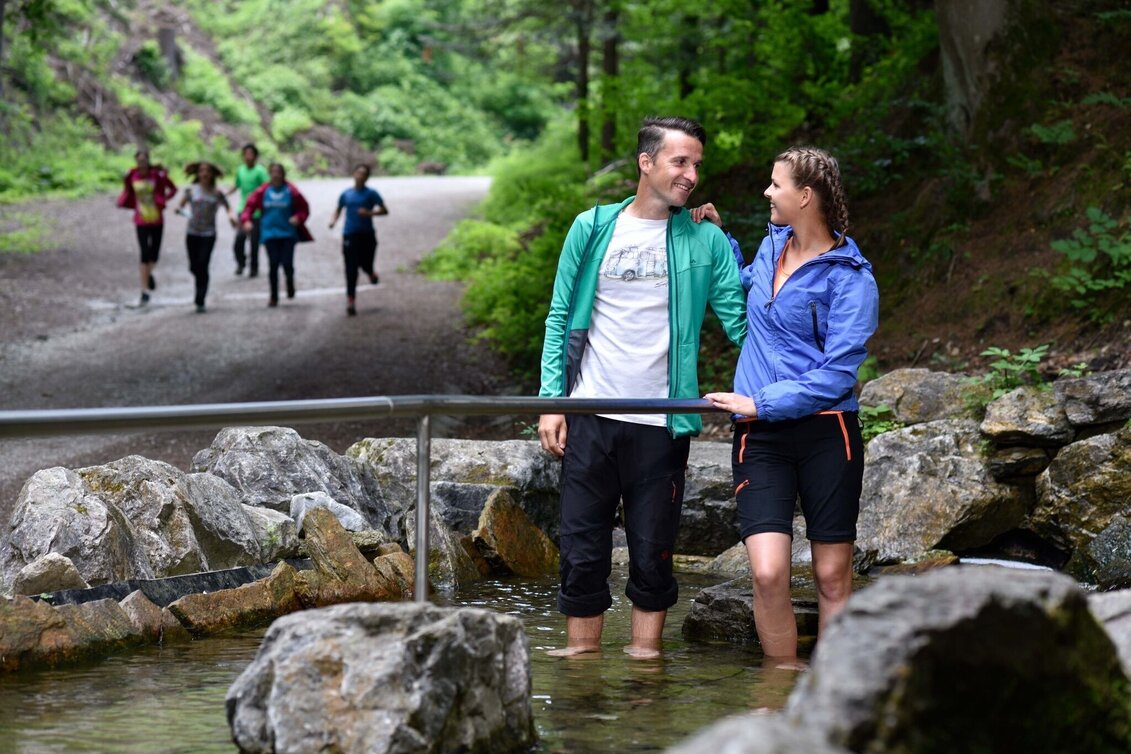 Hiking route Hike to the Weitental Nature Conservation Center - Touren-Impression #1 | © TV Hochsteiermark