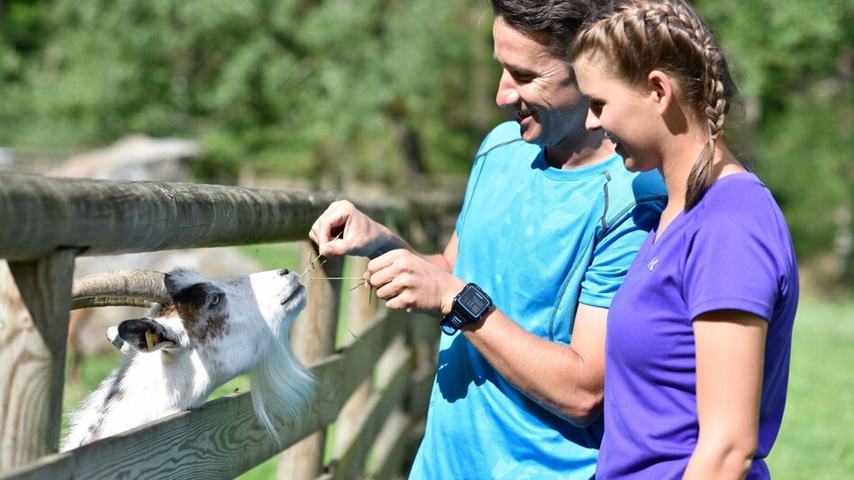 Hiking route Hike to the Weitental Nature Conservation Center - Touren-Impression #2.5 | © TV Hochsteiermark