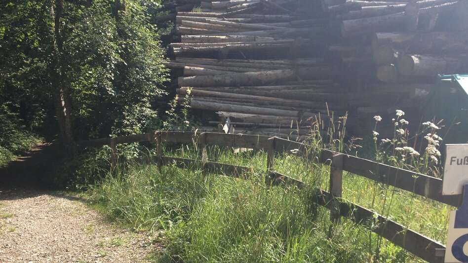 Nordic Walking Enns River Walking Tour - Touren-Impression #2.7 | © Gerhard Pilz