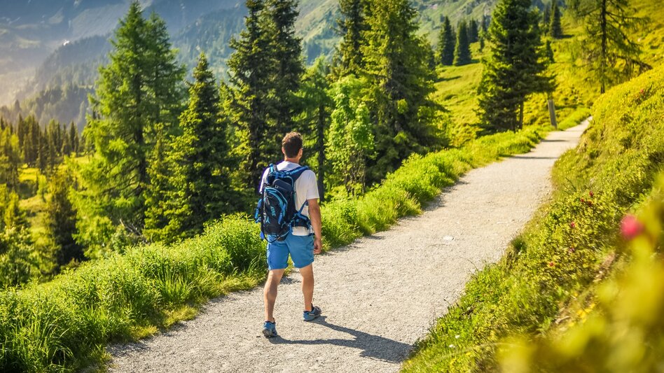 Promenade routes Planai Panorama Loop - Touren-Impression #2.1 | © Christine Höflehner