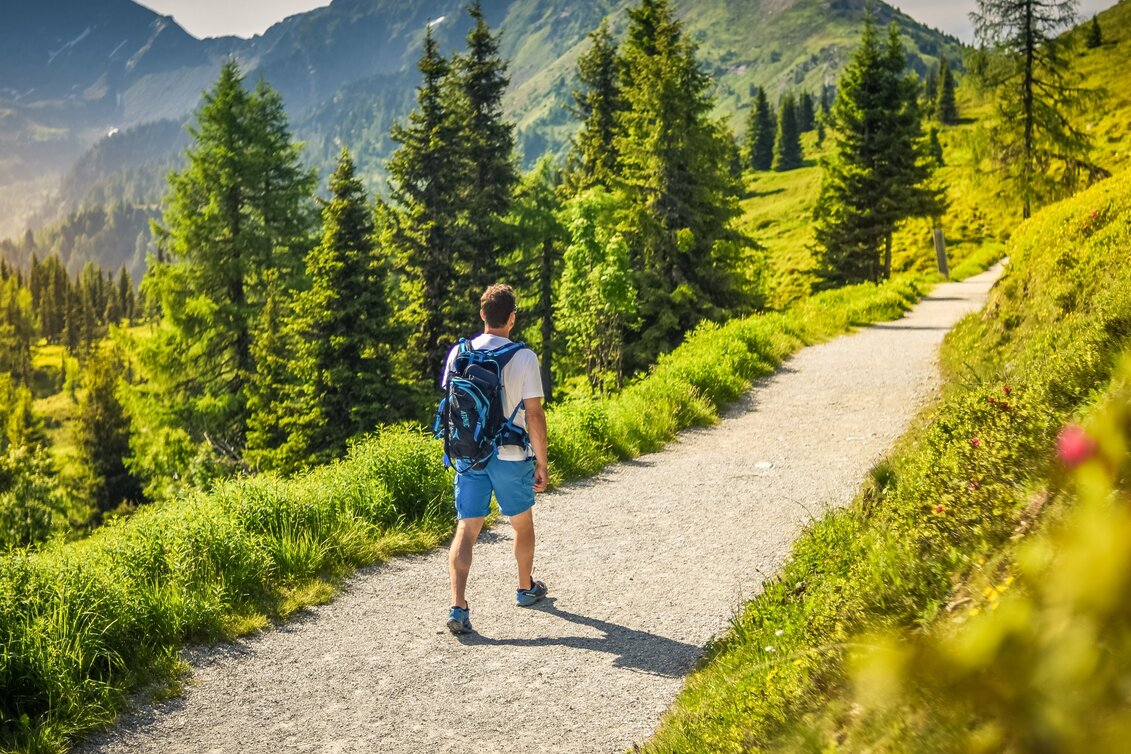 Promenade routes Planai Panorama Loop - Touren-Impression #1 | © Christine Höflehner