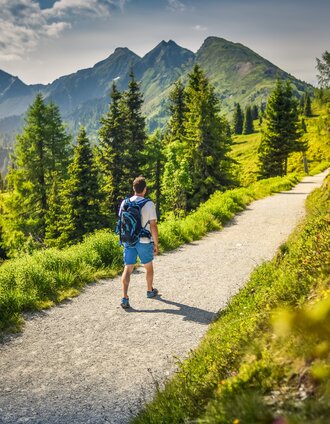 A hiker walking along Planai Panorama Loop | Gerhard Pilz | © Christine Höflehner