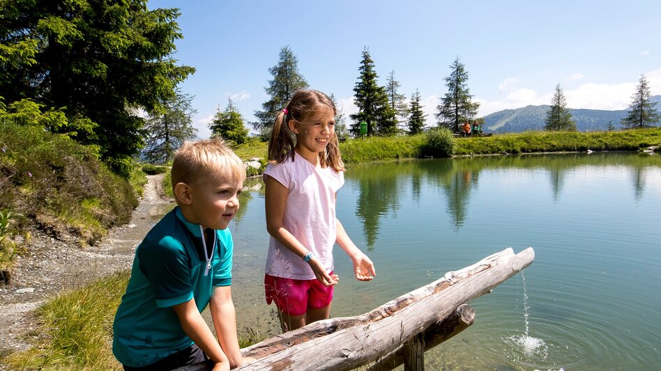 Promenade routes Planai Panorama Loop - Touren-Impression #2.4 | © Planai-Hochwurzen-Bahnen