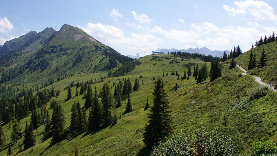 Promenade routes Planai Panorama Loop - Touren-Impression #2.6 | © Tourismusverband Schladming - Gerhard Pilz