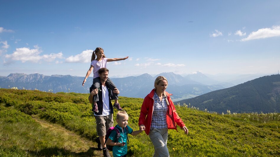 Promenade routes Planai Panorama Loop - Touren-Impression #2.7 | © Planai-Hochwurzen-Bahnen