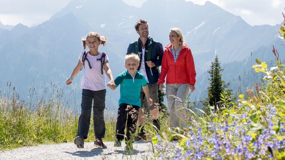 Promenade routes Planai Panorama Loop - Touren-Impression #2.9 | © Planai-Hochwurzen-Bahnen