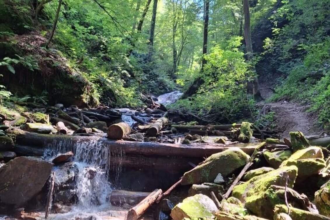 Hiking route Heiligengeistklamm (gorge walk) - Touren-Impression #1 | © TVB Südsteiermark/Julia Jammernegg