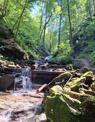 kleiner Wasserfall Klamm | Julia Jammernegg | © TVB Südsteiermark/Julia Jammernegg