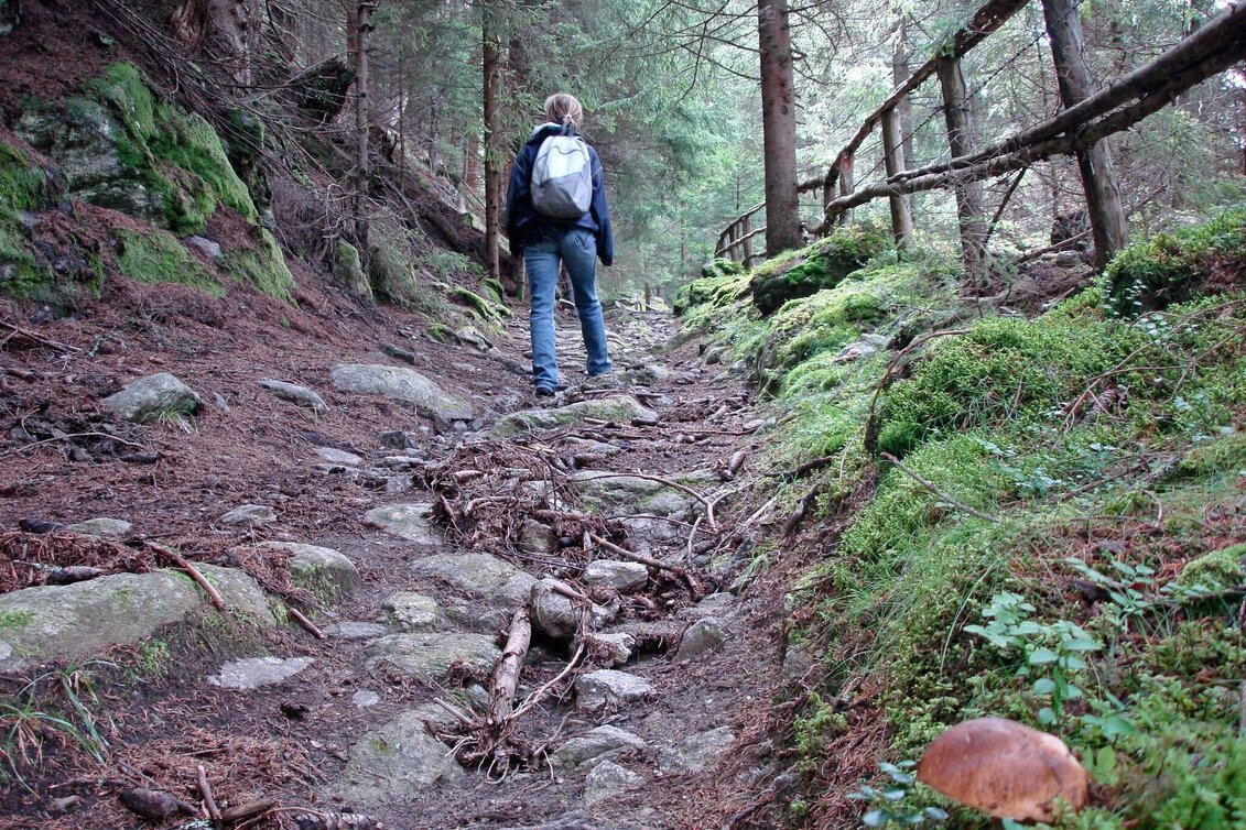Hiking route Römerweg - Touren-Impression #1 | © Erlebnisregion Murtal