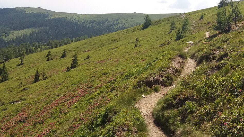Long-Distance Hiking Koralm Crystal Trail - Touren-Impression #2.1 | © Region Graz
