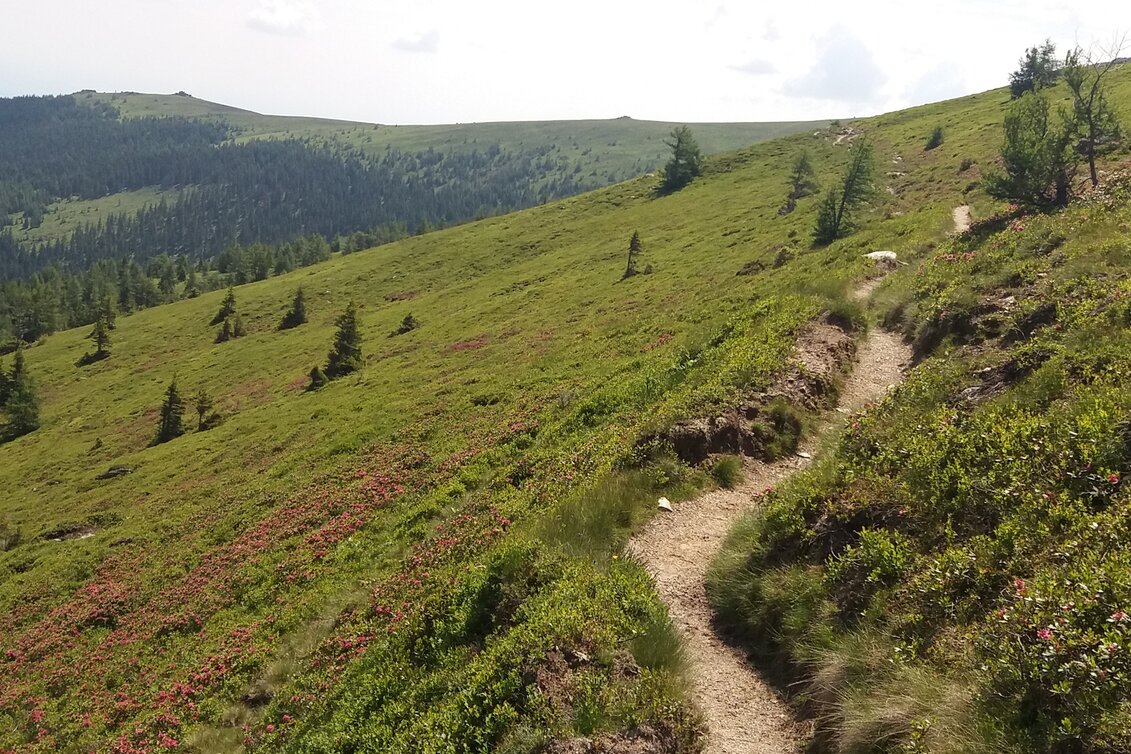 Long-Distance Hiking Koralm Crystal Trail - Touren-Impression #1 | © Region Graz