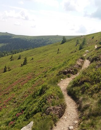 Wandern am Koralm-Kristall-Trail | TV Lipizzanerheimat/EU | © Region Graz