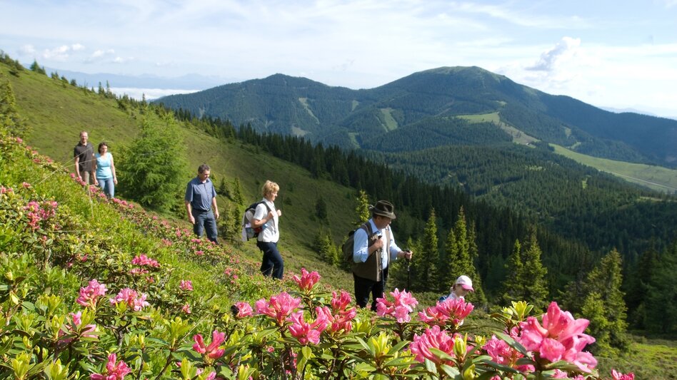 Long-Distance Hiking Koralm Crystal Trail - Touren-Impression #2.15 | © Region Graz