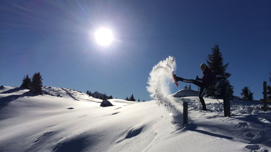 Snowshoe walking Snowshoe tour to Rossfeld - Touren-Impression #2.5 | © Tourismusverband Schladming - Katrin Hutegger