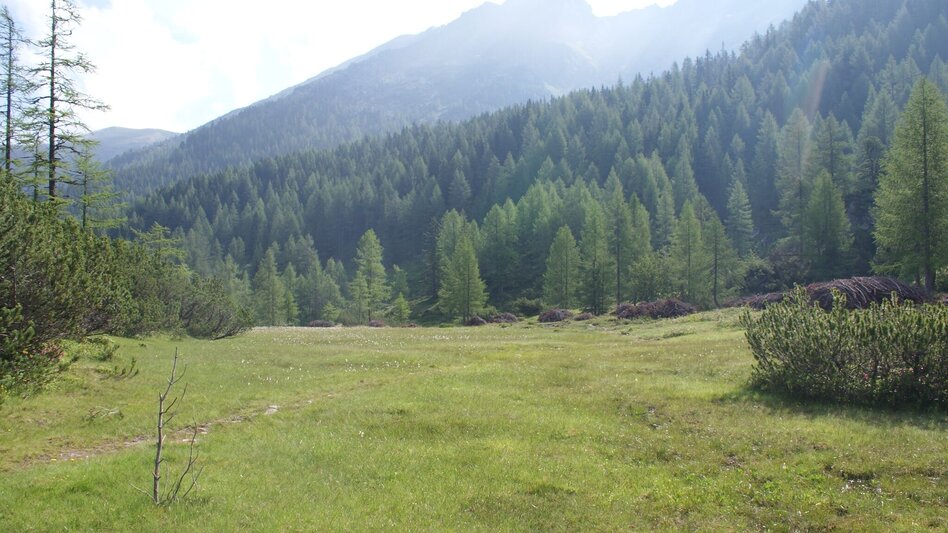 Hiking route Laubschachen Trail - Touren-Impression #2.4 | © Gerhard Pilz