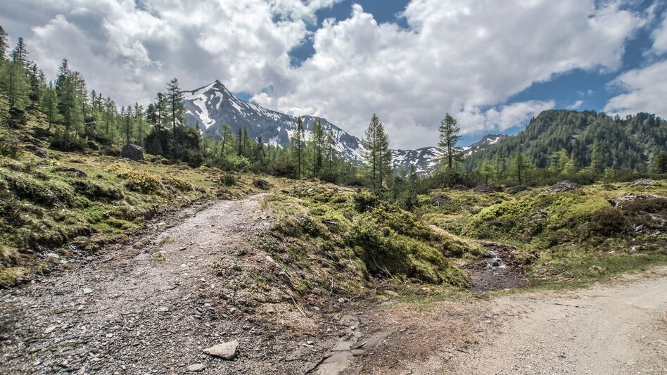 Hiking route Laubschachen Trail - Touren-Impression #2.5 | © Gerhard Pilz - www.gpic.at