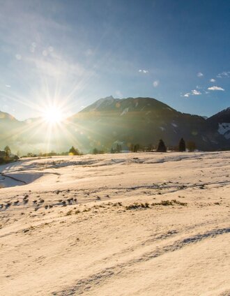 Die Sonne scheint auf der Rohrmooser Frei | Gerhard Pilz | © Gerhard Pilz - www.gpic.at