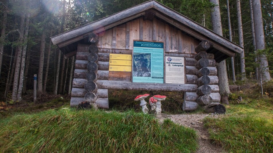 Hiking route Mushroom Nature Trail - Touren-Impression #2.3 | © Gerhard Pilz