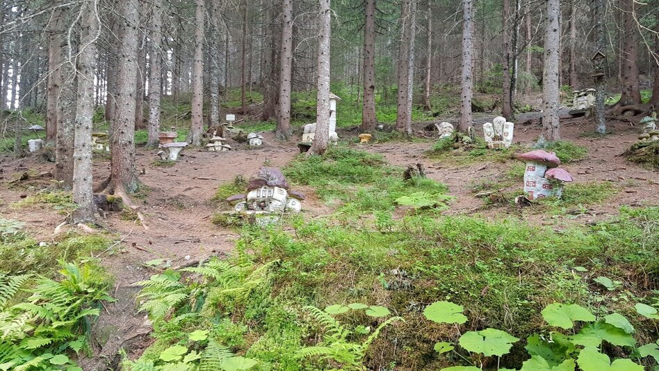 Hiking route Mushroom Nature Trail - Touren-Impression #2.9 | © Gerhard Pilz