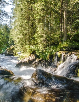 Wild Waters along Untertalbach creek | Gerhard Pilz | © Gerhard Pilz