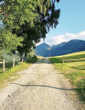 Meadow Trail: Via Schussbühel waypoint to the area of Rohrmooser Frei | Gerhard Pilz | © Gerhard Pilz