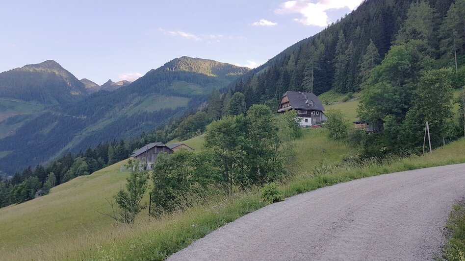 Hiking route Miners' Trail - Short Variant via Johannahöhe - Touren-Impression #2.10 | © Gerhard Pilz