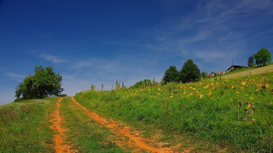 Themen- und Lehrpfad Kreuz & Querpfad - Kurze Variante / Weg 9 - Touren-Impression #2.5 | © Thermen- & Vulkanland