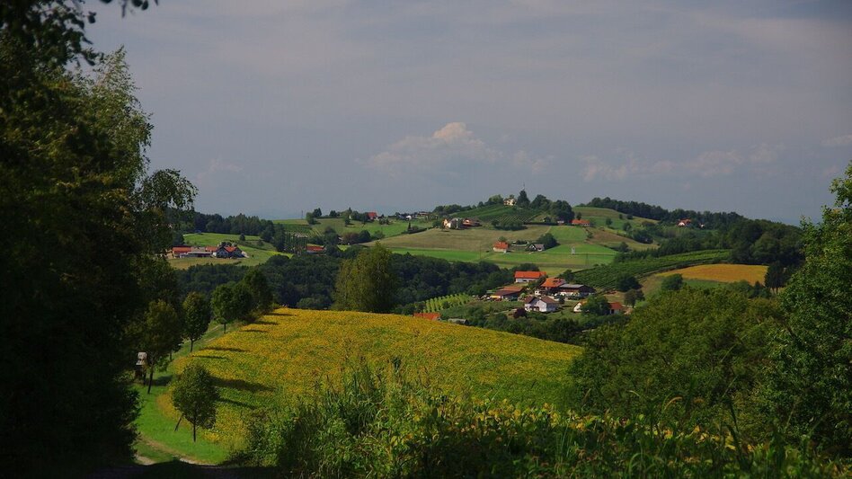 Themen- und Lehrpfad Kreuz & Querpfad - Kurze Variante / Weg 9 - Touren-Impression #2.11 | © Erlebnisregion Thermen- & Vulkanland