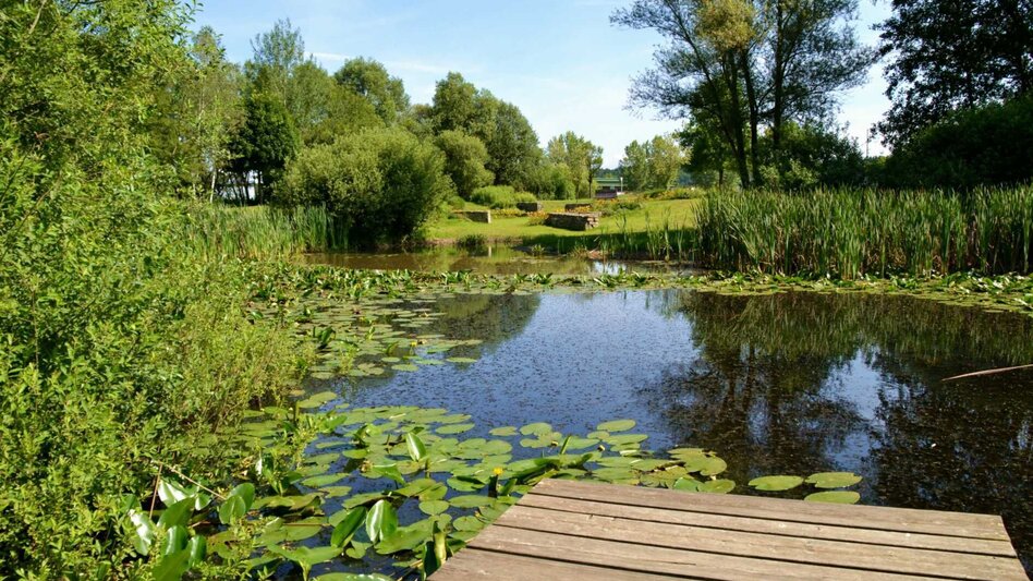 Hiking route Power Tour (Krafttour) - Touren-Impression #2.21 | © Kurkommission Bad Blumau