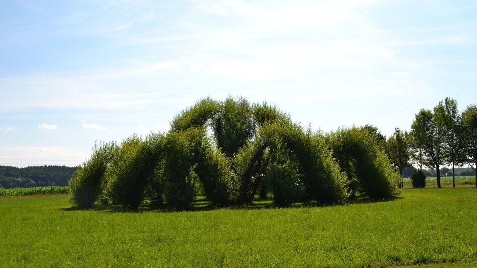 Hiking route Power Tour (Krafttour) - Touren-Impression #2.14 | © Kurkommission Bad Blumau