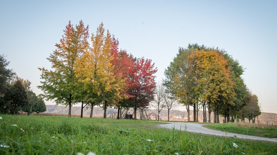 Hiking route Power Tour (Krafttour) - Touren-Impression #2.1 | © Kurkommission Bad Blumau