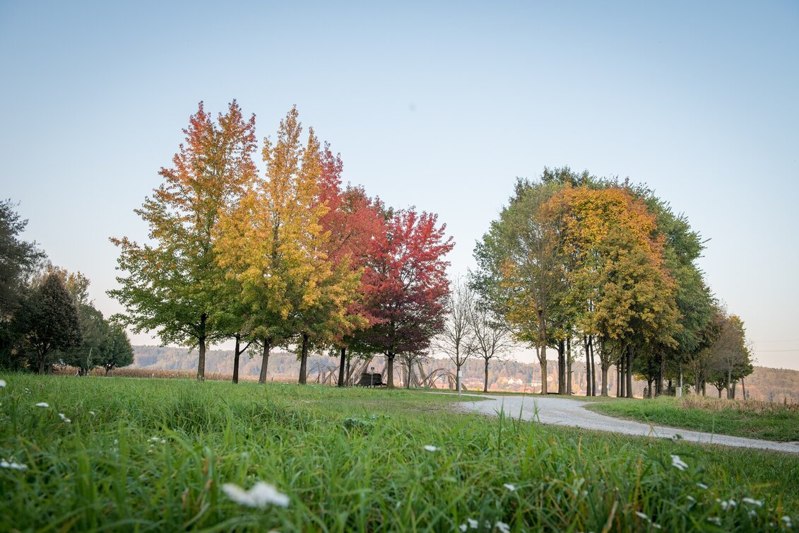 Hiking route Power Tour (Krafttour) - Touren-Impression #1 | © Kurkommission Bad Blumau